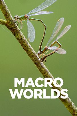 宏观世界封面图