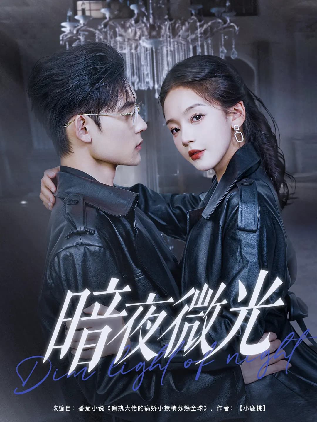 暗夜微光封面图