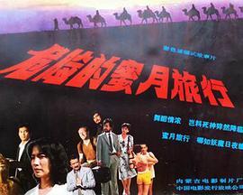 危险的蜜月旅行封面图