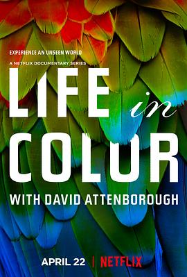 生命之色封面图