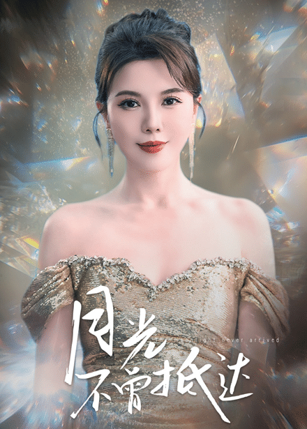 月光不曾抵达封面图