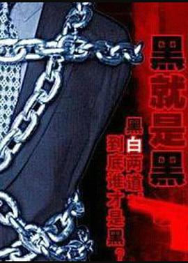 黑就是黑封面图