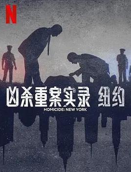 凶杀重案实录：纽约封面图