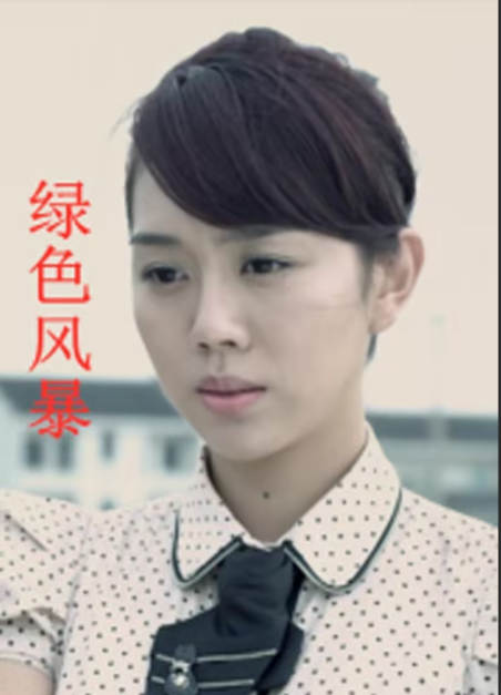 绿色风暴封面图