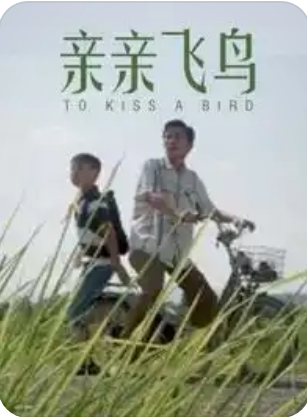 亲亲飞鸟封面图