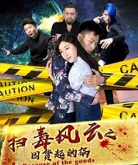 扫毒风云之因货起的祸封面图