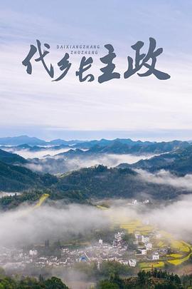 代乡长主政封面图