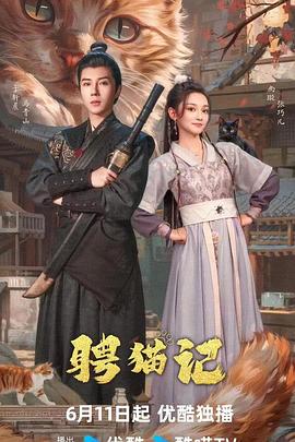 聘猫记封面图
