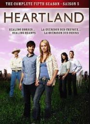 心灵之地第五季封面图