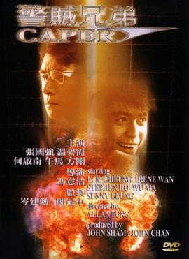 警贼兄弟封面图