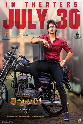 再审风云 Thimmarusu: Assignment Vali封面图