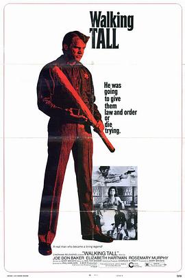 势不两立 Walking Tall封面图