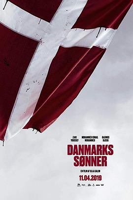 丹麦之子 Danmarks sønner封面图