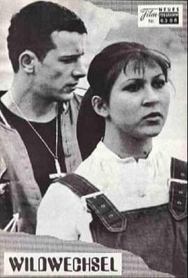 野蛮游戏 Wildwechsel封面图