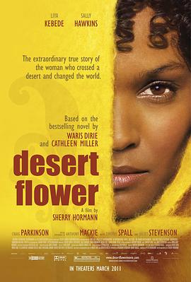 沙漠之花 Desert Flower封面图