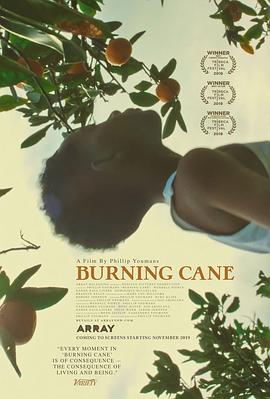 燃烧的甘蔗 Burning Cane封面图