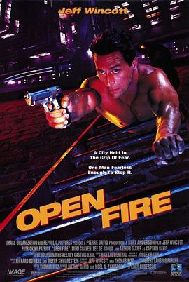 孤胆英雄 Open Fire封面图