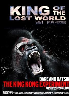 失落世界的统治者 King of the Lost World封面图