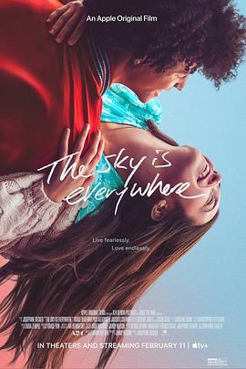 天空的尽头是另一片天空 The Sky Is Everywhere封面图