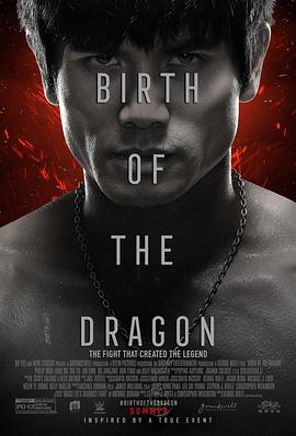 龙之诞生 Birth of the Dragon封面图