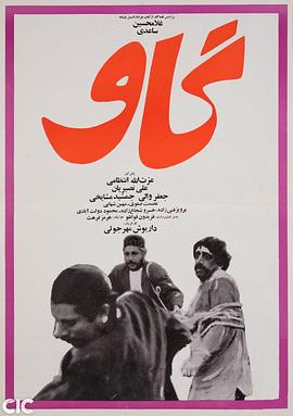 奶牛 گاو‎封面图