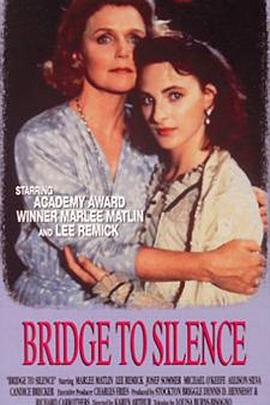 沉寂之桥 Bridge to Silence封面图
