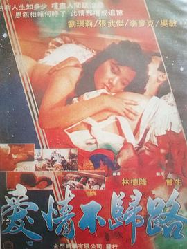 愛情不歸路 爱情不归路封面图