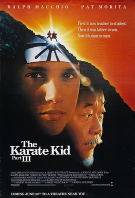 龙威小子3 The Karate Kid Part III封面图