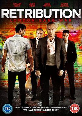 天使的战争 Retribution封面图