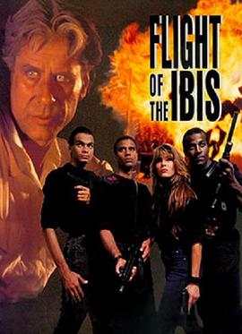 猎枭行动 Flight of the Ibis封面图