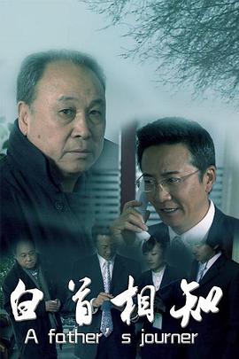 白首相知封面图