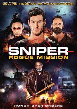 狙击精英：秘密任务 Sniper: Rogue Mission封面图