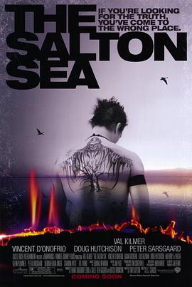 万里追凶 The Salton Sea封面图