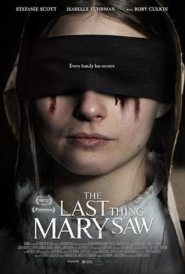 最后一眼 The Last Thing Mary Saw封面图