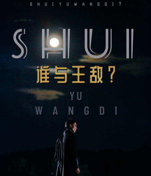 谁与王敌？封面图