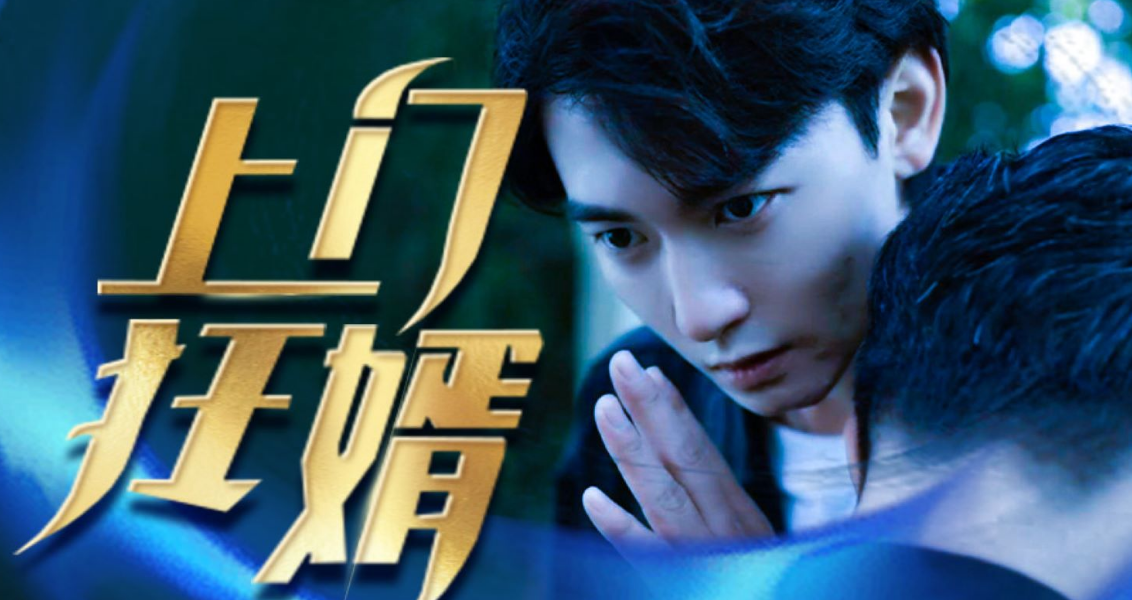 上门狂婿封面图