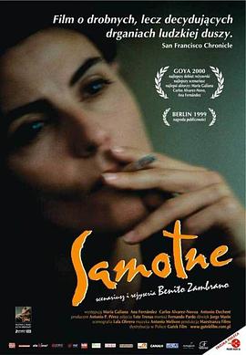 天涯寻子路 720P(准高清)封面图