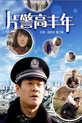 片警高丰年封面图