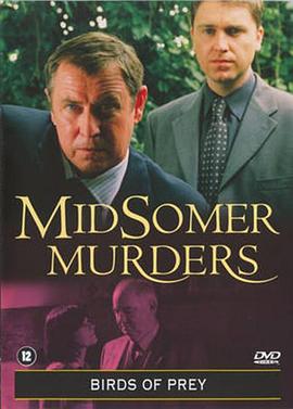 天降横彩封面图